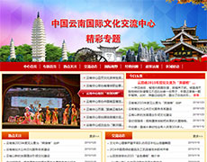 中国云南国际文化交流中心精彩专题网站